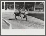 Enties in the Shelby County Horse Show and Fair. Shelbyville, Kentucky