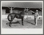Winners in the Shelby County Horse Show and Fair. Shelbyville, Kentucky