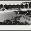 Entries in the Shelby County Horse Show and Fair. Shelbyville, Kentucky