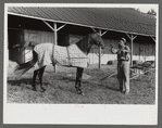 Winners in the Shelby County Horse Show and Fair. Shelbyville, Kentucky