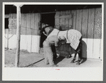 Elaborate preparations are made for entries in Shelby County Horse Show and Fair, Shelbyville, Kentucky