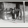 Elaborate preparations are made for entries in Shelby County Horse Show and Fair, Shelbyville, Kentucky