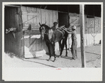 Elaborate preparations are made for entries in Shelby County Horse Show and Fair, Shelbyville, Kentucky