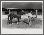 Winner in the Shelby County Horse Show and Fair, Shelbyville, Kentucky