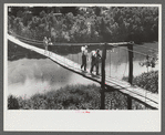 Carrying home groceries and supplies across the swinging bridge, Breathitt County, Jackson, Kentucky