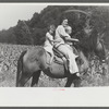 Relatives and friends of the family of the deceased going home from a memorial meeting in the mountains near Jackson, Kentucky. See general caption no. 1