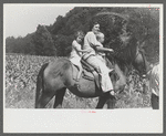 Relatives and friends of the family of the deceased going home from a memorial meeting in the mountains near Jackson, Kentucky. See general caption no. 1