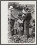 Pouring off and straining finished sorghum syrup after it had been boiled down at a "syruping off" on the highway between Jackson and Campton, Kentucky
