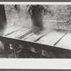 Boiling down the sorghum cane sap into syrup. At a mountaineer's home on the highway between Jackson and Campton, Kentucky