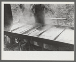 Boiling down the sorghum cane sap into syrup. At a mountaineer's home on the highway between Jackson and Campton, Kentucky