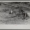 Ginning the sorghum cane to make syrup. At a mountaineer's home on the road between Jackson and Campton, Kentucky