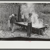 In the early fall during "syrupping off" time many of the children stay home from school to eat the freshly boiled down sorghum cane syrup. The cook usually goes to the various farms in the neighborhood and for his work takes a share of the syrup