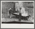 In the early fall during "syrupping off" time many of the children stay home from school to eat the freshly boiled down sorghum cane syrup. The cook usually goes to the various farms in the neighborhood and for his work takes a share of the syrup