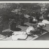Small plants in planters on a porch