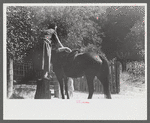 Woman using mounting block up Burton's Fork, Kentucky River, near Jackson, Kentucky