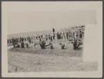 Schomburg among grave