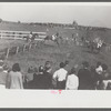 Horse races, Warrenton, Virginia