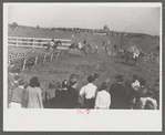 Horse races, Warrenton, Virginia