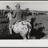 Judge at horse races, Warrenton, Virginia