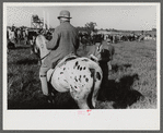 Judge at horse races, Warrenton, Virginia