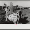 Judge at horse races, Warrenton, Virginia