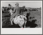 Judge at horse races, Warrenton, Virginia