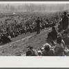 Spectators at the Point to Point cup race of the Maryland Hunt Club. Worthington Valley, near Glyndon, Maryland