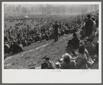Spectators at the Point to Point cup race of the Maryland Hunt Club. Worthington Valley, near Glyndon, Maryland