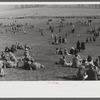 Spectators at the Point to Point cup race of the Maryland Hunt Club. Worthington Valley, near Glyndon, Maryland