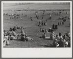 Spectators at the Point to Point cup race of the Maryland Hunt Club. Worthington Valley, near Glyndon, Maryland