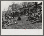 Spectators at the Point to Point cup race of the Maryland Hunt Club. Worthington Valley, near Glyndon, Maryland