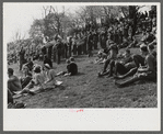 Spectators at the Point to Point cup race of the Maryland Hunt Club. Worthington Valley, near Glyndon, Maryland