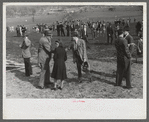 Spectators at the Point to Point cup race of the Maryland Hunt Club. Worthington Valley, near Glyndon, Maryland