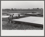 Prefabricated defense housing under construction near airport, Hartford, Connecticut. Constructed and managed by FSA (Farm Security Administration)