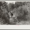 Mountaineer going to the store on muleback. Up Burton's Fork of the Kentucky River. Breathitt County, Kentucky