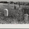 Hand-carved gravestones in an old family cemetery where memorial meetings are held annually. In the mountains near Jackson, Kentucky. See general caption no. 1