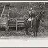 FSA (Farm Security Administration) borrower's children returning home on muleback with a sack of meal. Knox County, Kentucky