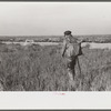 Spanish trapper returning to the bayou after checking up on his muskrat traps. In the marshland near Delacroix Island, Louisiana