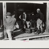 Spanish trappers and fur buyers waiting around while muskrats are being graded during auction sale on porch of community store, St. Bernard, Louisiana
