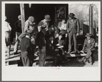 Spanish trappers and fur buyers crowd around FSA (Farm Security Administration) supervisor as he opens and reads the bids on that lot of muskrats. The auction sale is on porch of community store, St. Bernard, Louisiana