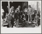 Spanish trappers and fur buyers crowd around FSA (Farm Security Administration) supervisor as he opens and reads the bids on that lot of muskrats. The auction sale is on porch of community store, St. Bernard, Louisiana