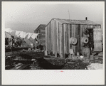 Trappers' camps in the marshes near Delacroix Island, Louisiana. See general caption no. 1