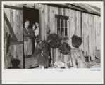 Spanish trapper's camp home and family with dried muskrat skins hanging in front. In the marshes near Delacroix Island, Louisiana