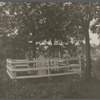 Grave of Paul Cuffee, Indian Preacher. Near Canoe Place Inn. Southampton