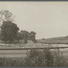 Duck farm. Southampton