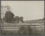 Duck farm. Southampton