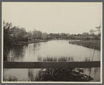View of Benedicts Creek. Water Mill, Southampton