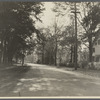 View of Main Street at Jericho Turnpike. Showing Anne Seaman house, Ketcham house, and Jericho Hotel. Jericho, Oyster Bay