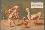 Sternberger's Old Reliable Feather & Bedding Depot 