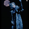 Liz Callaway in Cats